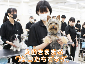 1年生が継続してステイの練習！